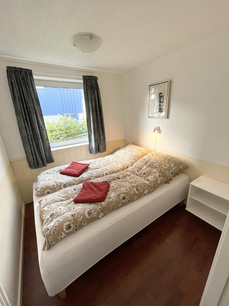 Cosy apartment near beach, marina & city centre photo 3