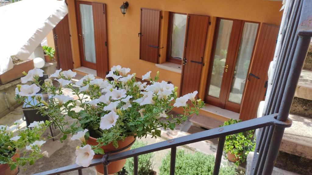 B&B Agora' photo 1