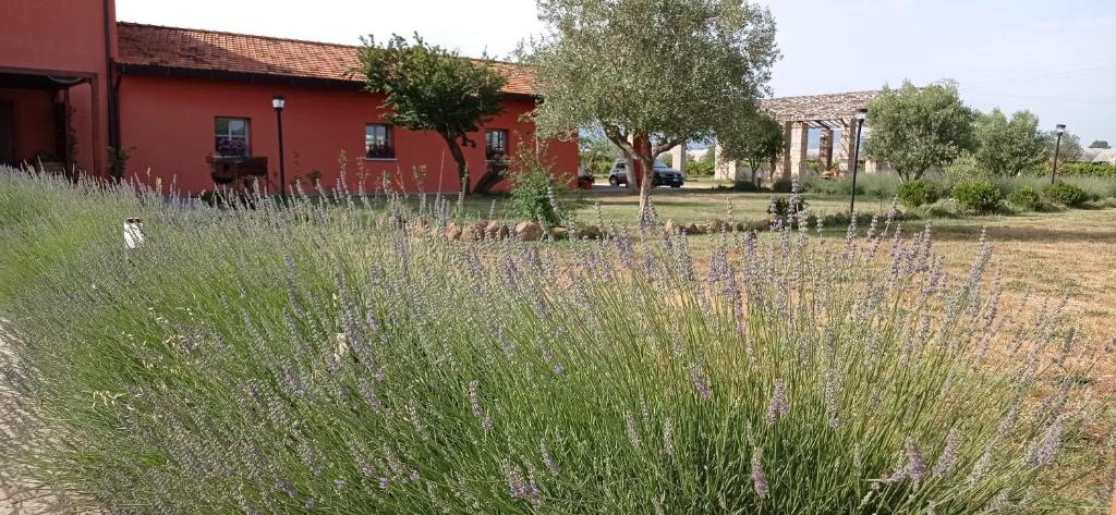 Il Casale di Giulia di Aprilia photo 3