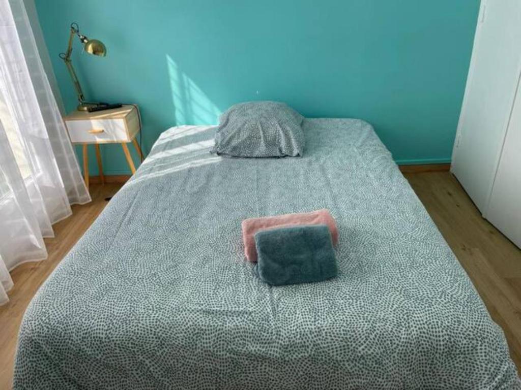 Chambre dans appartement lumineux