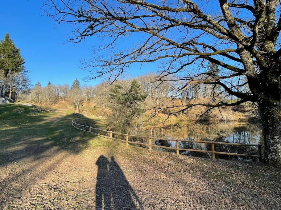 Domaine de 6 hectares avec 2 étangs que pour vous photo 3