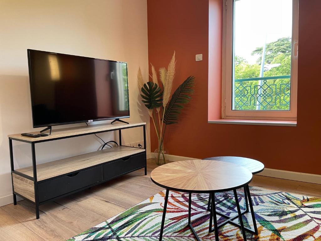 Studio Le Cilaos, au cœur de Castres photo 4