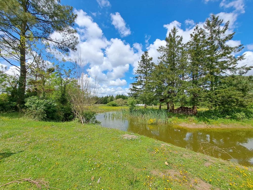 Le Bonheur est dans le Pré. photo 4