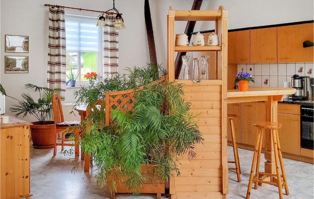 Awesome Apartment In Bad Schandau-kleing, With Wifi And 2 Bedrooms photo 3