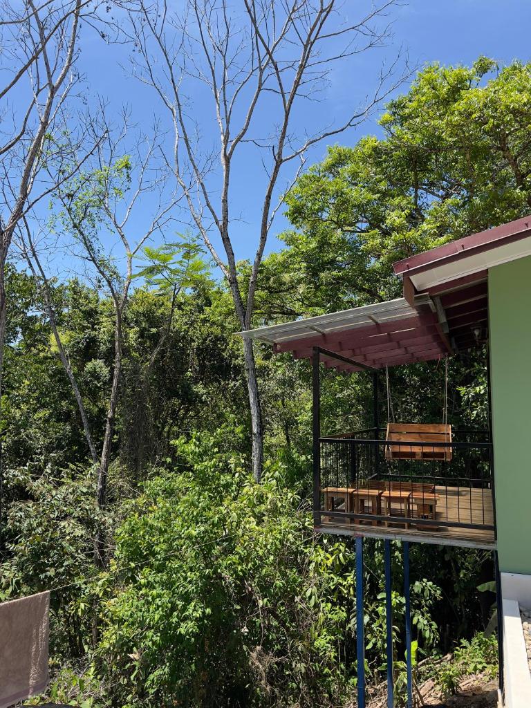 Casa Jobo photo 2