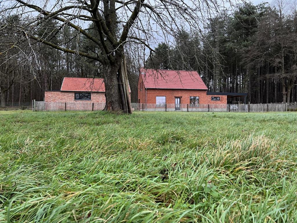 De Bovenbuur photo 3
