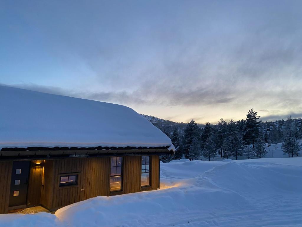 Stryn Mountain Lodge photo 2