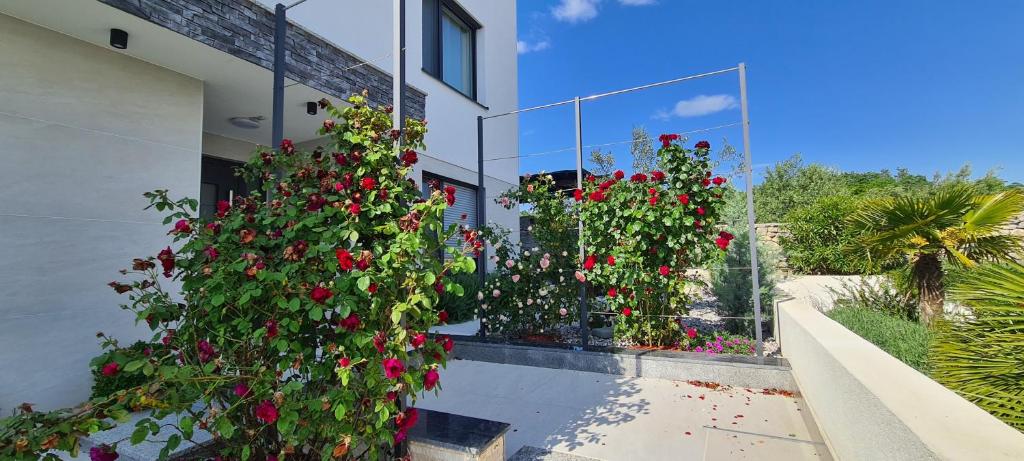 Luxury villas White Sails photo 4