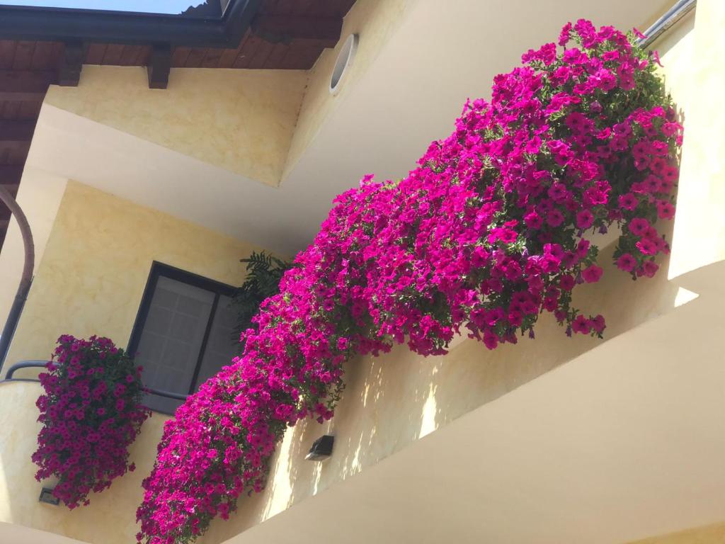 Casa vacanze Le Surfinie