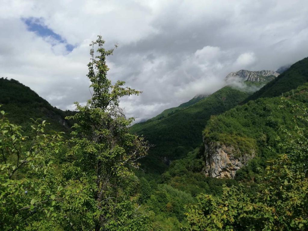 Ljuta Village photo 1