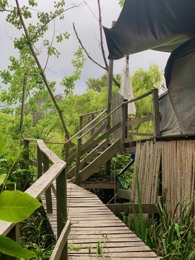 Domo de la Selva Tigre photo 3