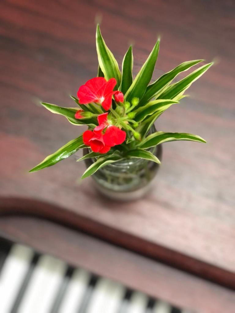 Mika Homestay Teacher’s House