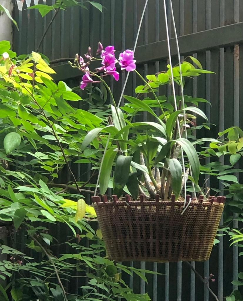 Mika Homestay Teacher’s House