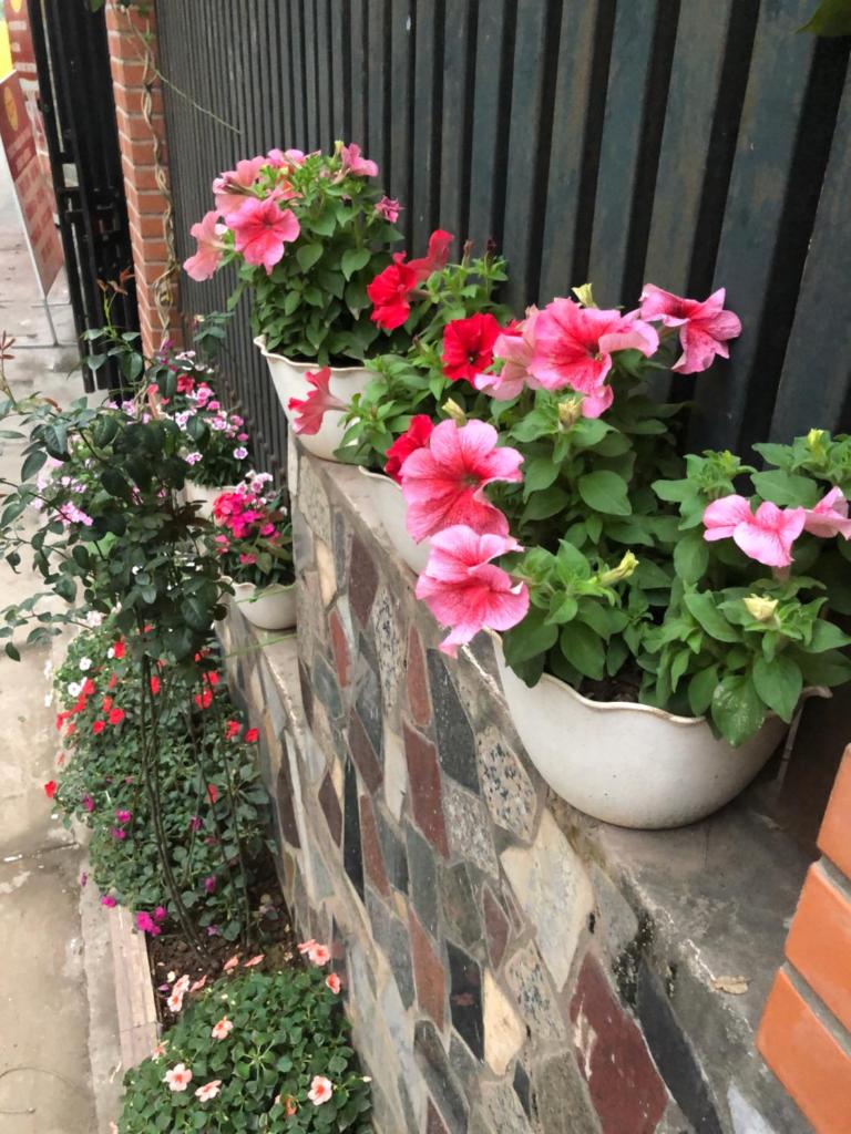 Mika Homestay Teacher’s House