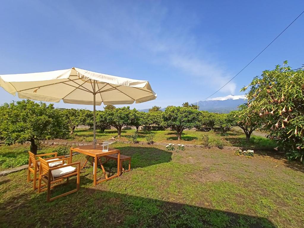 Giardino Arancio - casa vacanze photo 4