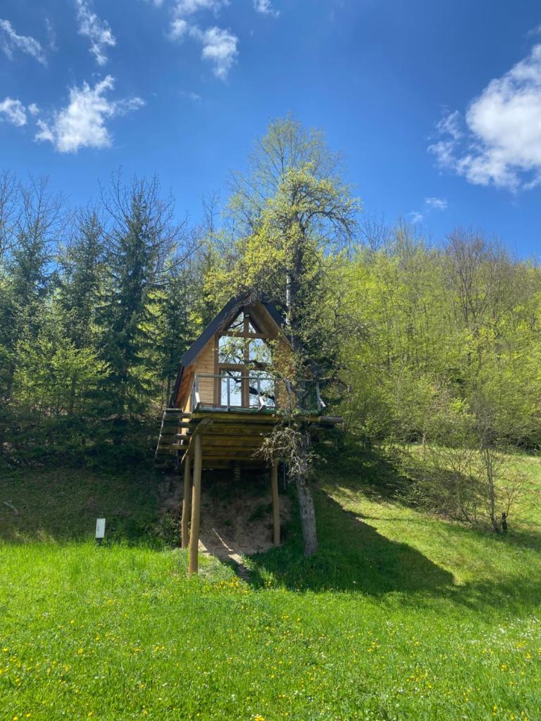 Tree house photo 3
