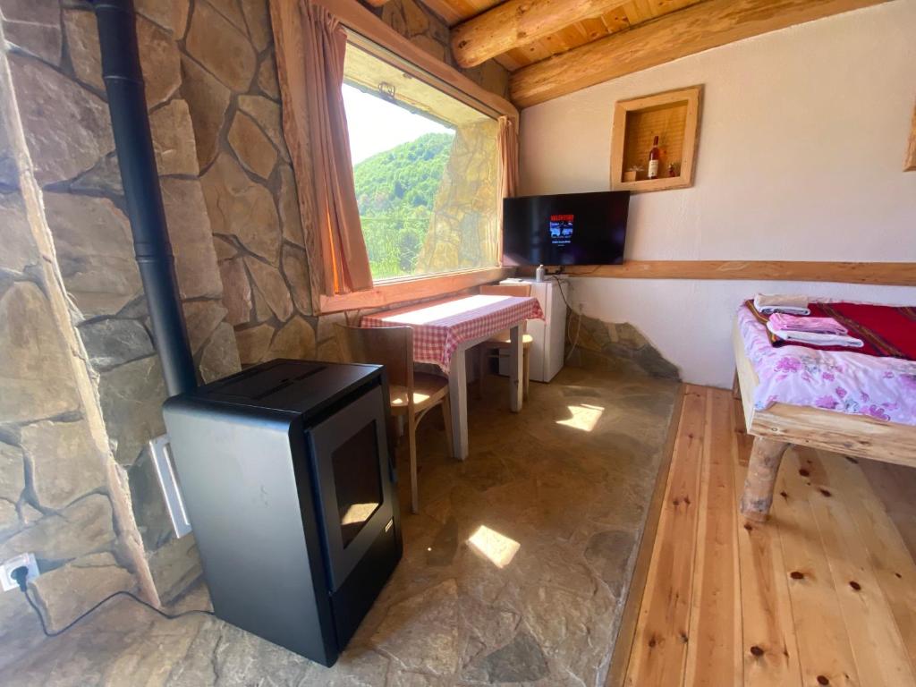Tara Place - Camp Rabrenovic photo 4