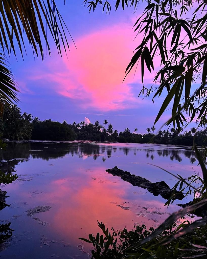 My Paradise photo 3
