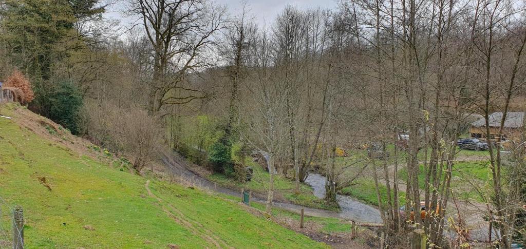 Chalet Les Allores Dohan (Bouillon) photo 4