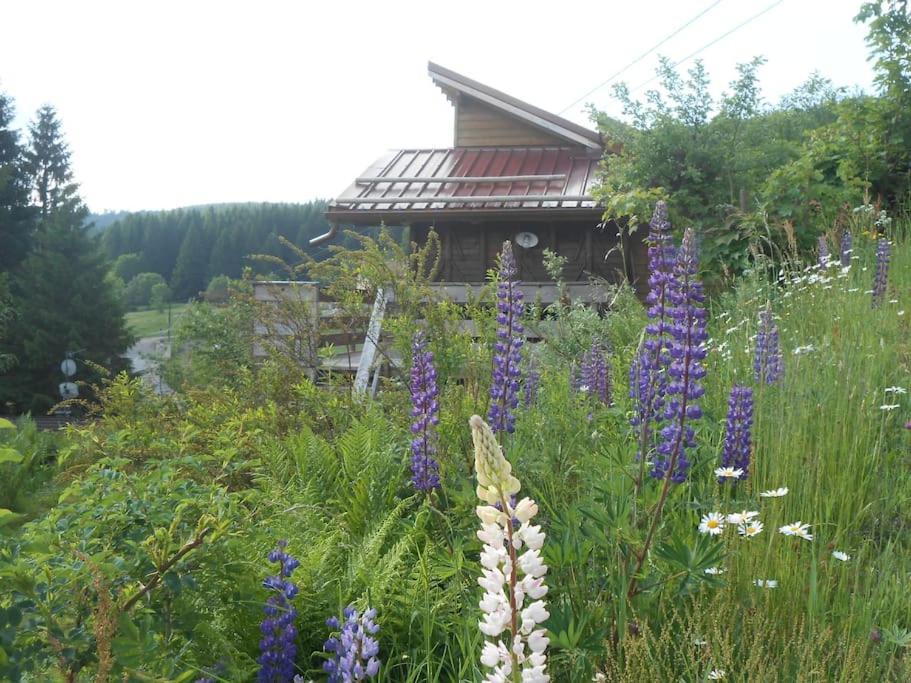 Le chalet du Domaine des Lupins photo 4