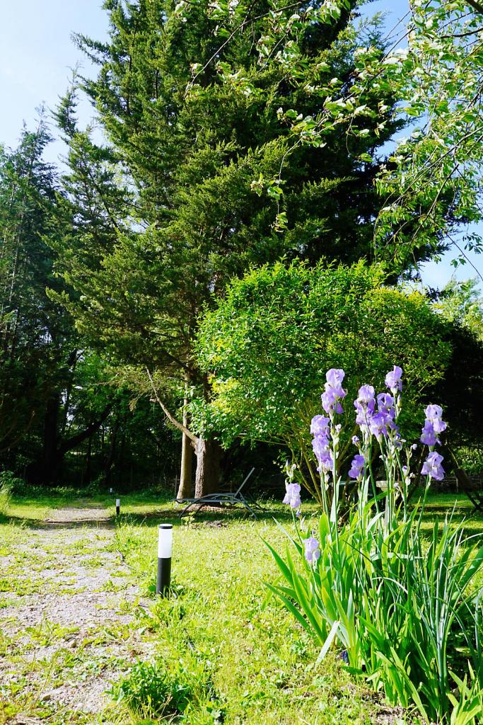 Green Home photo 1
