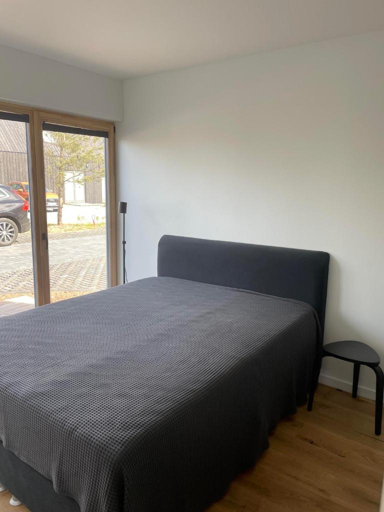 Vėtrungės apartamentai Svencelė photo 4