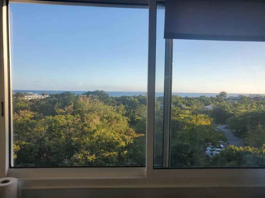 Joli T2 L'Oasis vue mer des Caraïbes proche des plages photo 3
