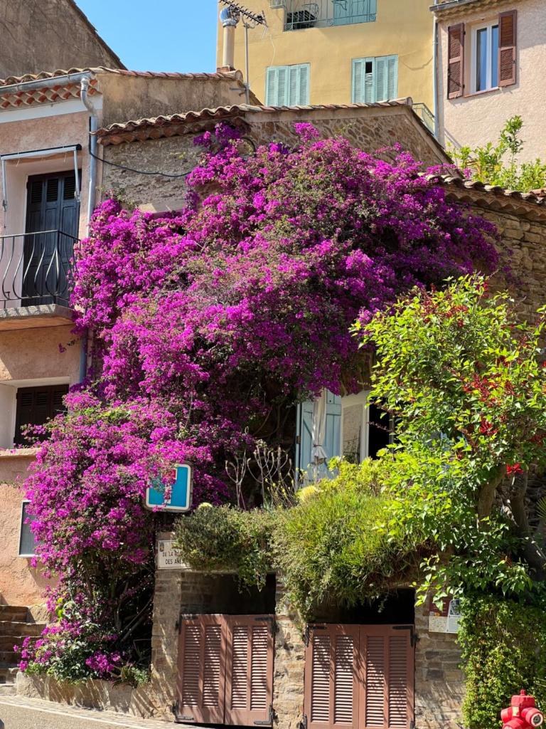 maison de vacances Médiévale Bormes-les-Mimosas village photo 3