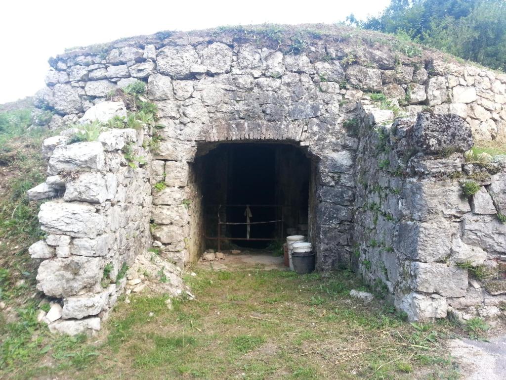 Agriturismo Al Vecio Caselo (Casa Maga) photo 1
