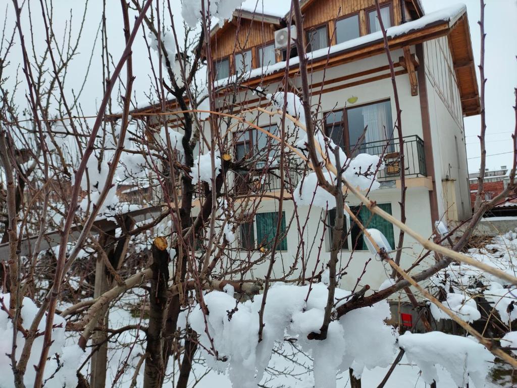 Guest House Garbevi photo 4