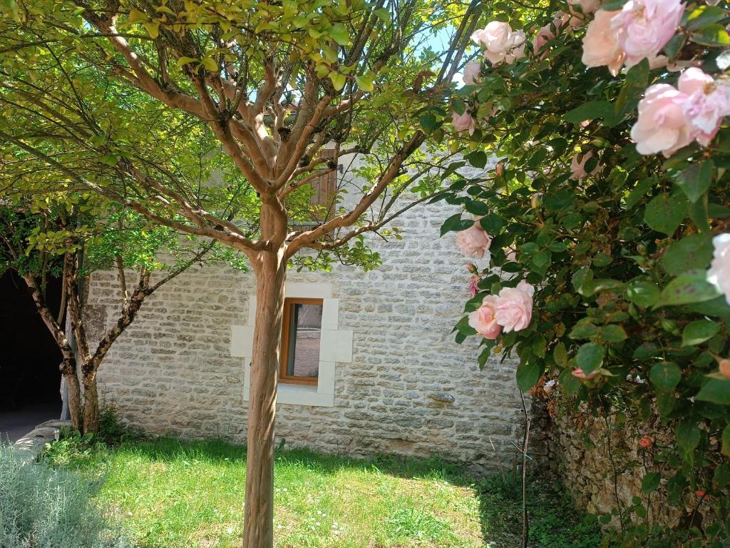 Logis de l'Olivier photo 2