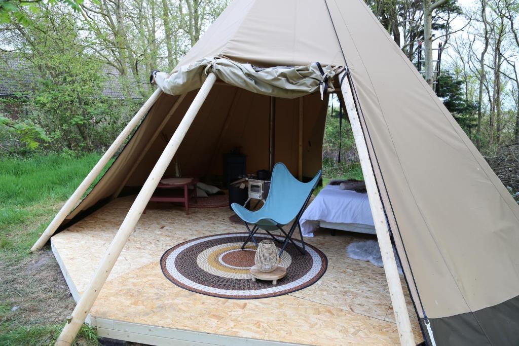 Tipi Texel photo 3