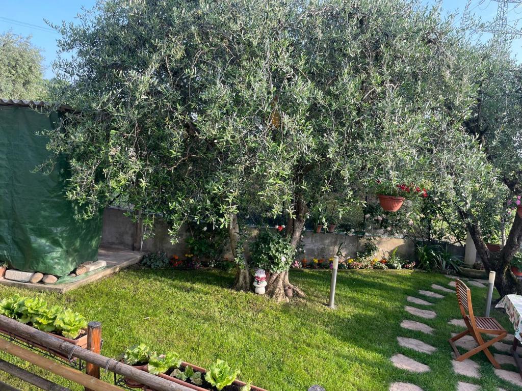 Casa Vacanze Collina del Lago photo 2