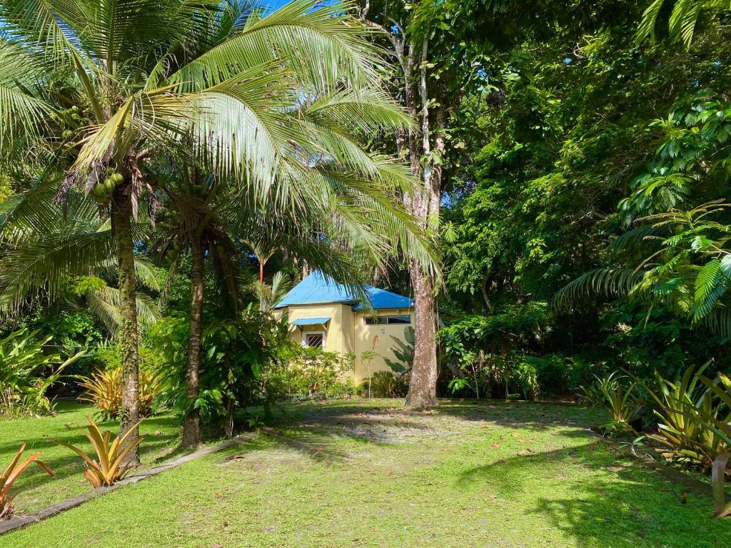 Private Villa on 2-Acres of Jungle Garden & Pool photo 2
