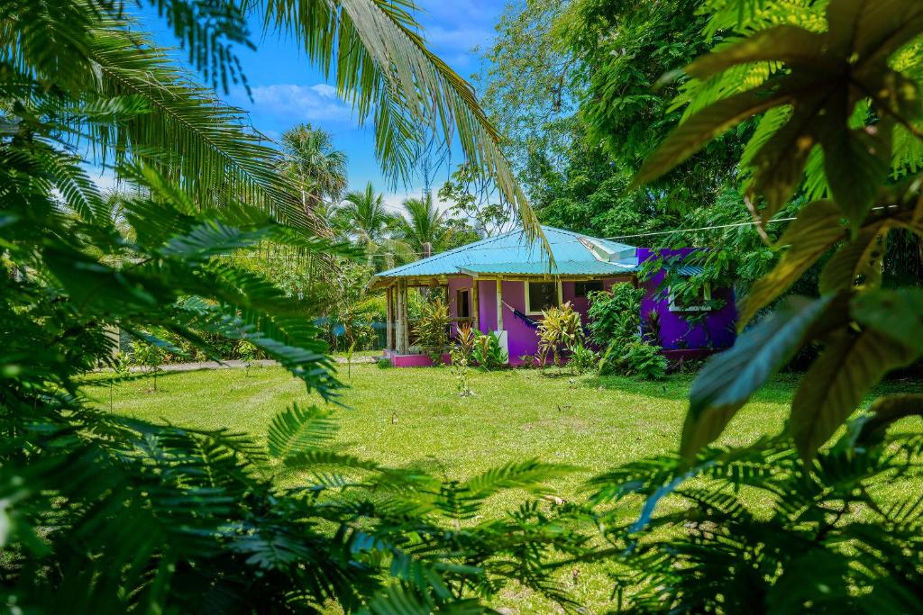 Casa Lavanda in tropical jungle garden photo 2