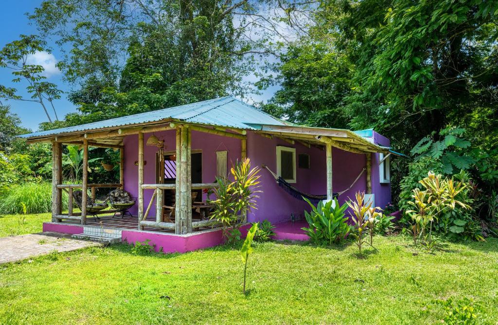 Casa Lavanda in tropical jungle garden photo 3