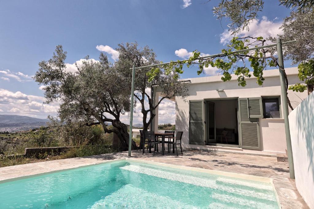 Admonis - Home in the olive grove