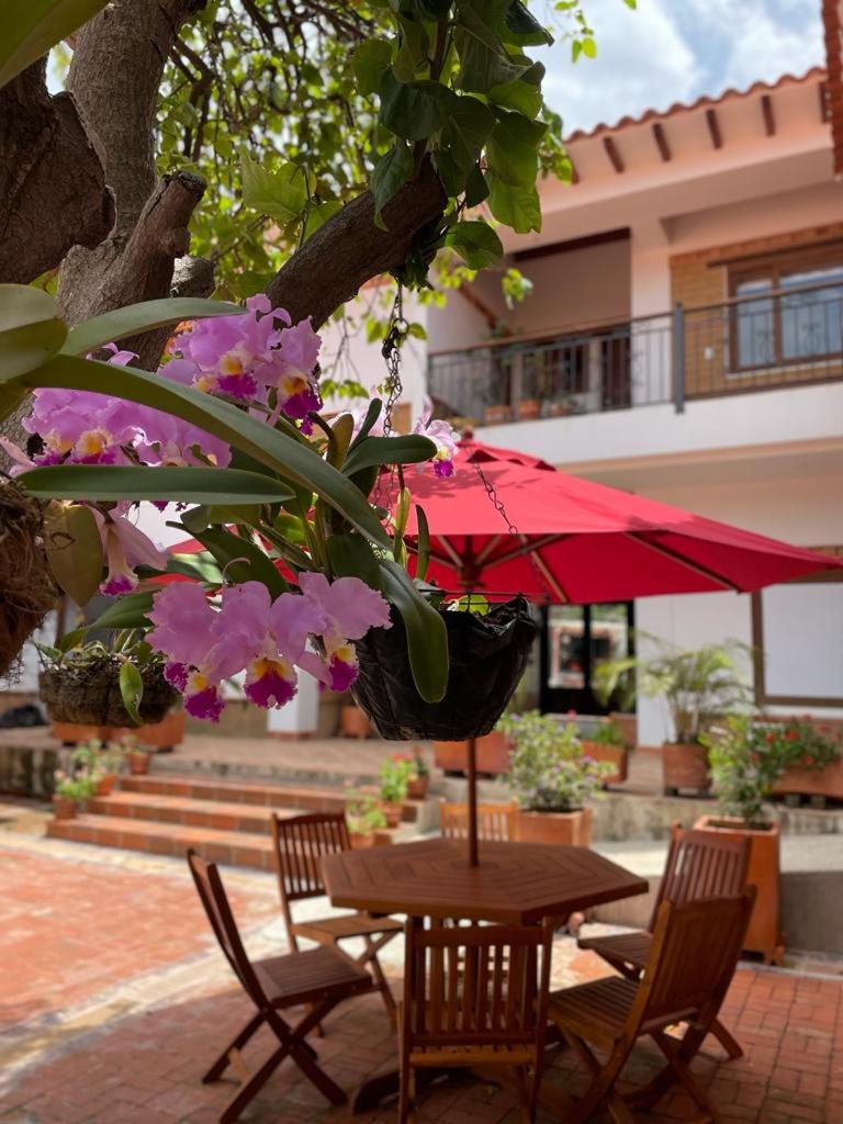 Hotel Villa Teresita photo 4