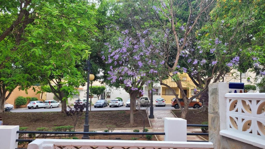 El encanto de Aguadulce photo 4