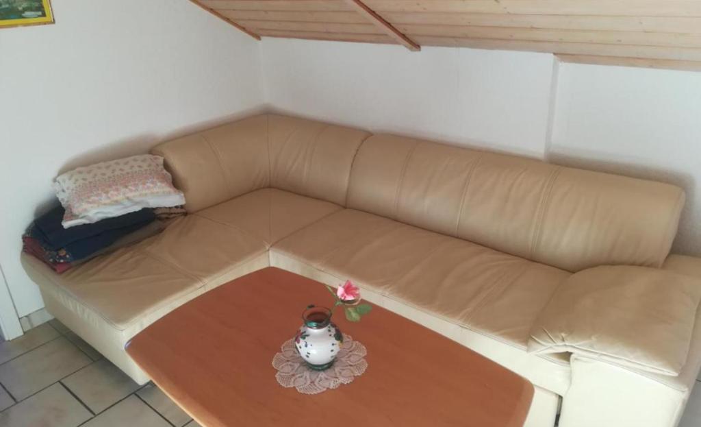 Monteur- und Ferienwohnung Ruck photo 3