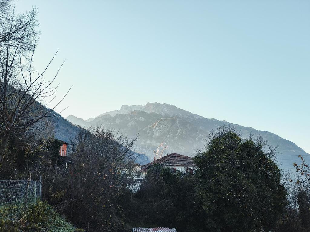 Mountain View photo 1