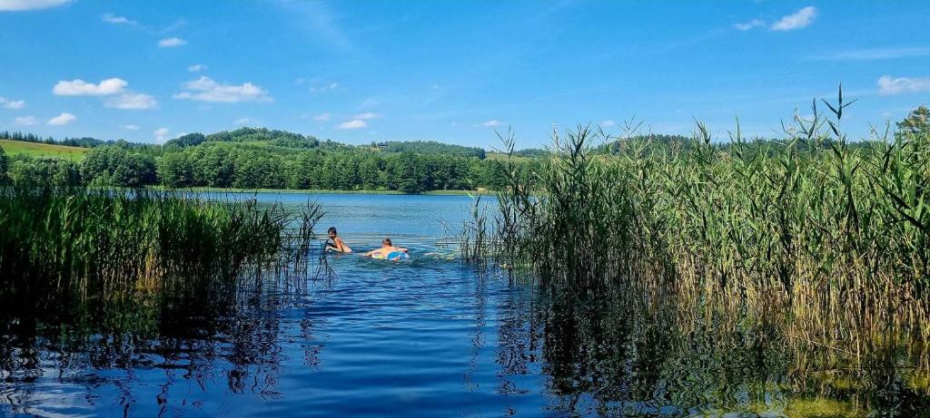 Pomiędzy Jeziorami - Kojle Camp photo 2