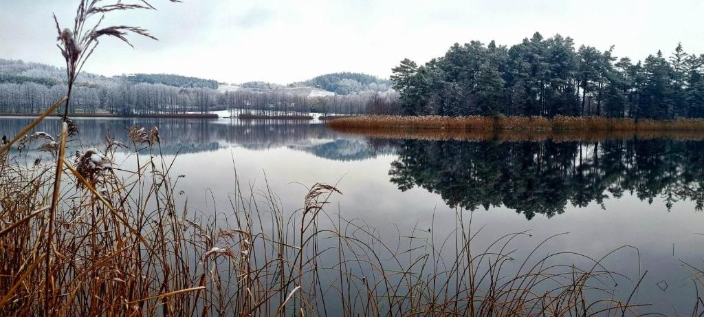 Pomiędzy Jeziorami - Kojle Camp photo 4
