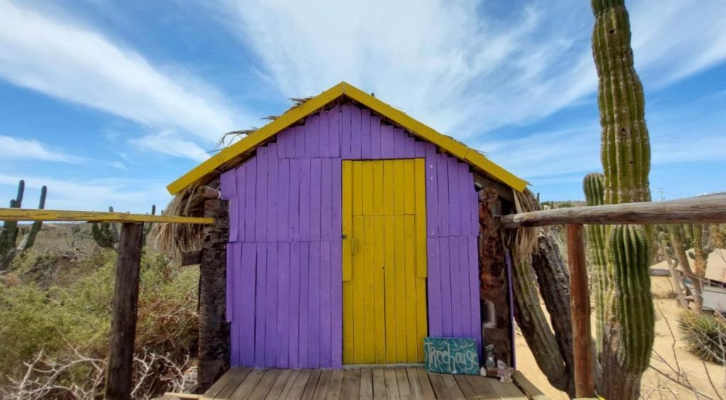 Tree House at Espacio Amor