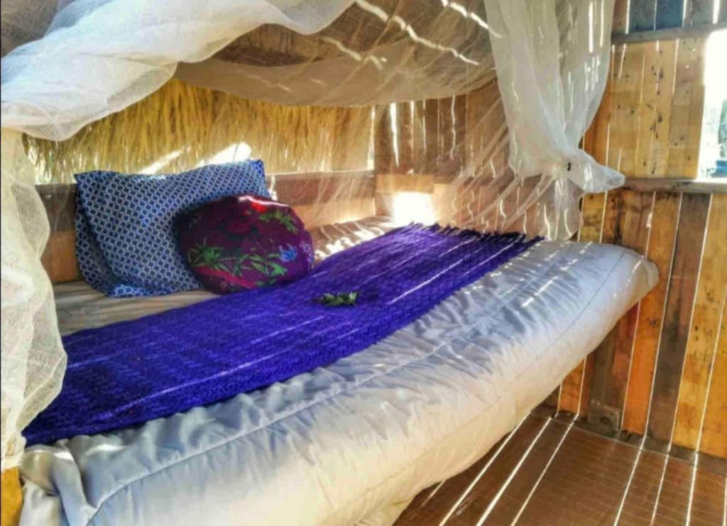 Tree House at Espacio Amor photo 1