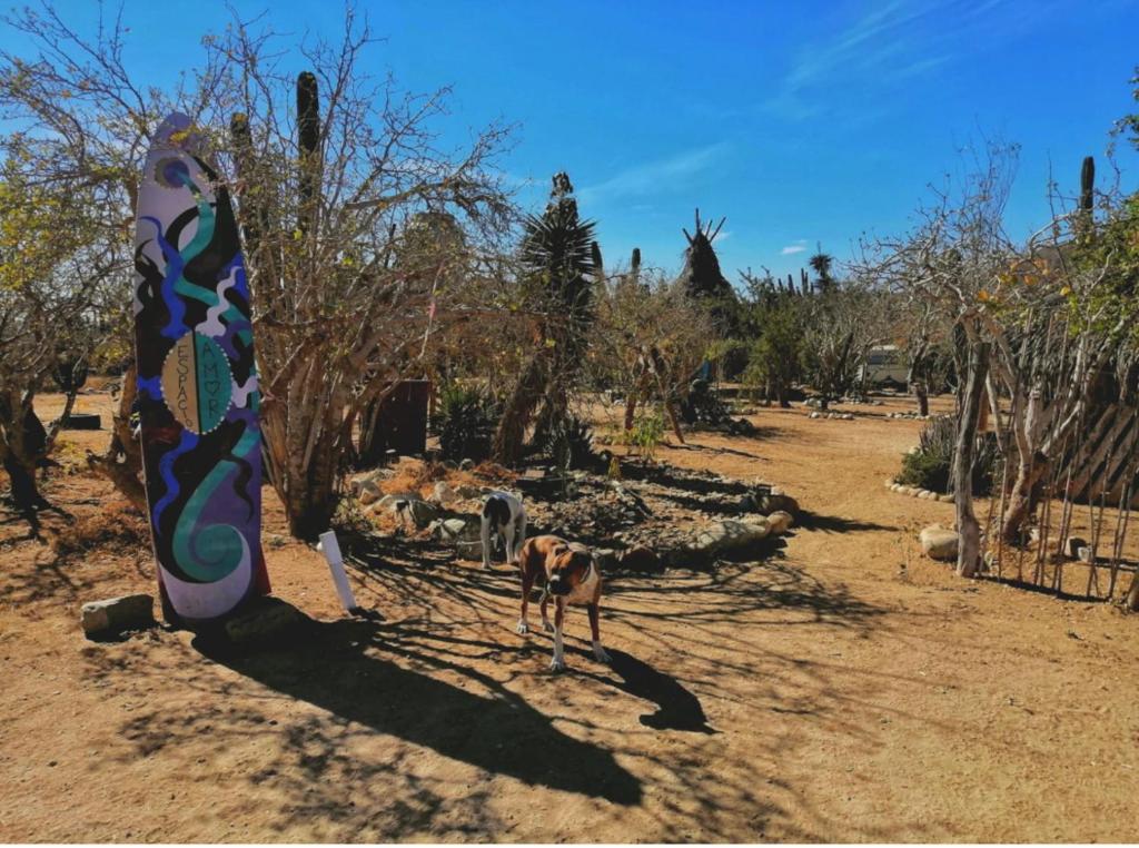 Tree House at Espacio Amor photo 3