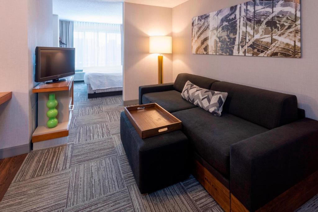 SpringHill Suites by Marriott Rochester-Mayo Clinic/St Marys image