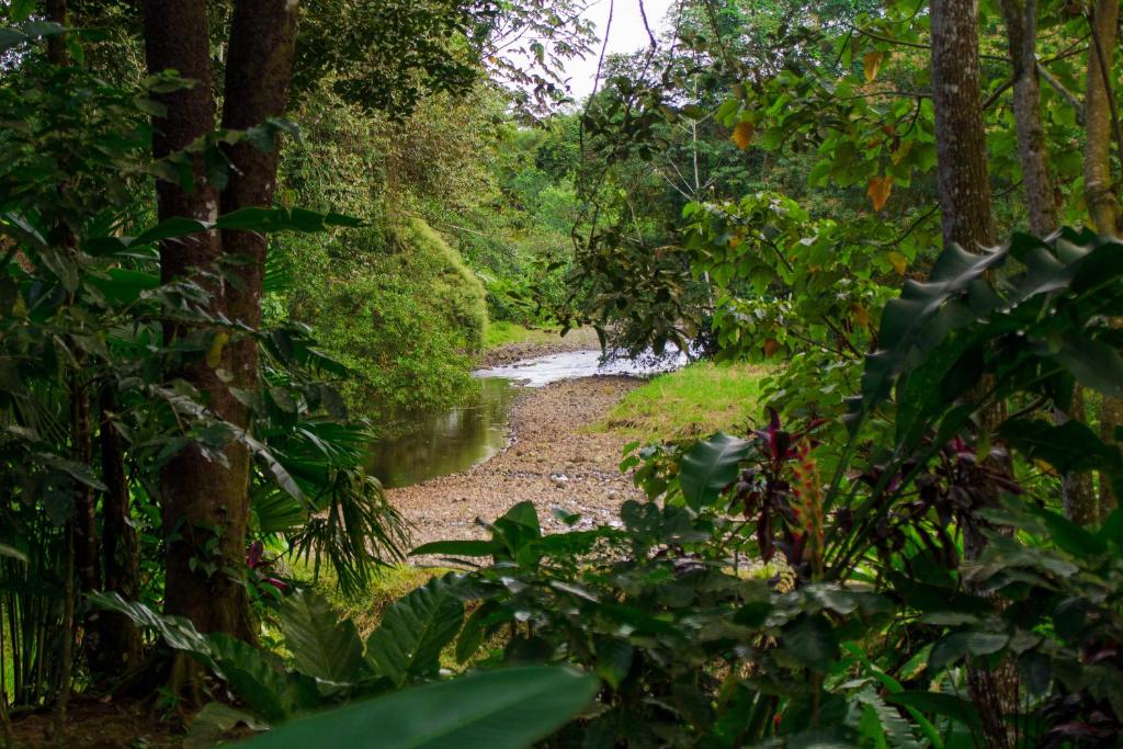Eden Organic Farm & Bungalows photo 4