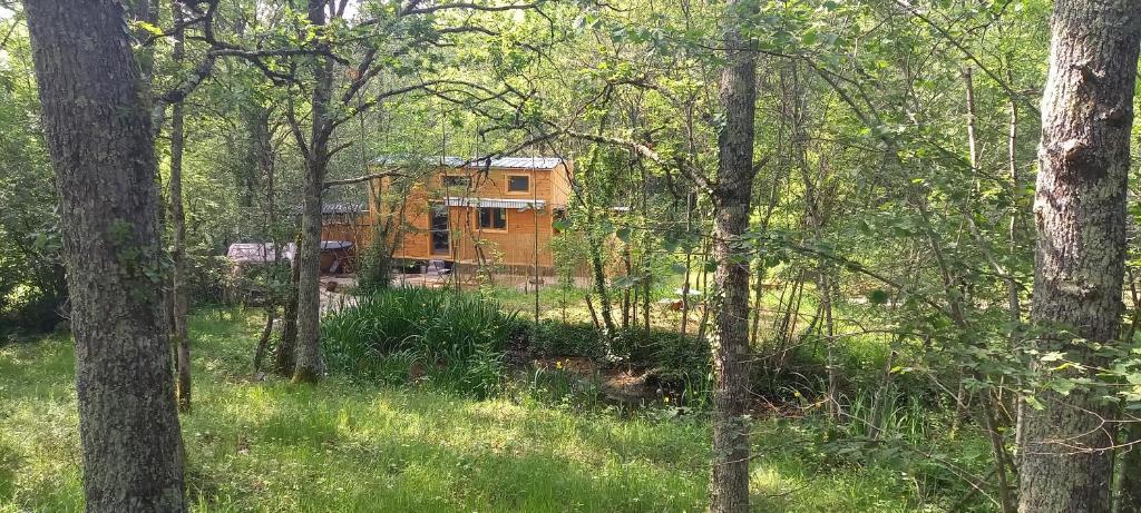 Mini maison tiny house et son bain nordique photo 3