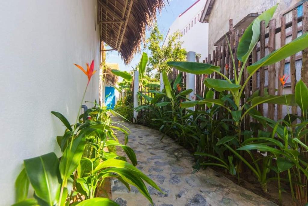 Cashew Tree Bungalow